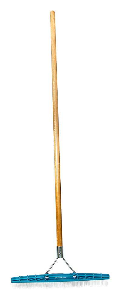 AB24 Carpet Rake, 18-Inch Head, 54-Inch Handle, Blue AB24 Carpet Rake, 18-Inch Head, 54-Inch Handle, Blue