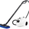 Dupray HOME Steam Cleaner European Made Kills 99.99%* Bacteria Viruses for Disinfection and Cleaning Flooring, Cars, Tile, and More