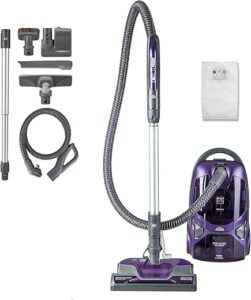 How Often Should You Vacuum with a Canister Vacuum to Reduce Allergens?